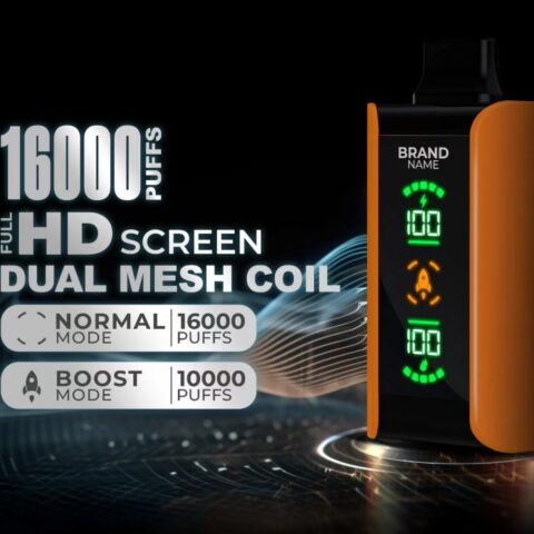 16000 Puffs Disposable Vape POD with HD display Screen Dual Mesh Coil