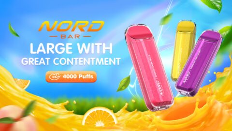 Read more about the article NORD BAR 4000puffs Disposable vape 8.5ml pre-filled e-liquid and rechargeable 600mAh built-in battery